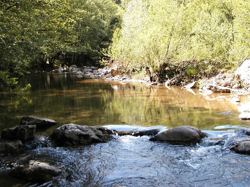Valle del Farma e Stagno della Troscia: luoghi meravigliosi!